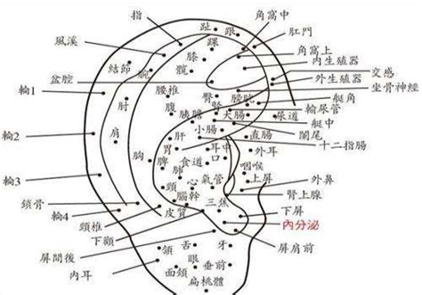 耳廓有痣女|女人右耳朵有痣图解 耳朵痣十大福痣图片